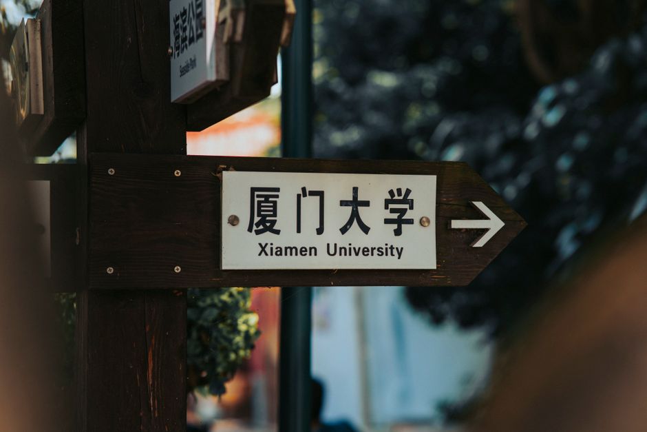 Codex 界面显示的重置次数提示