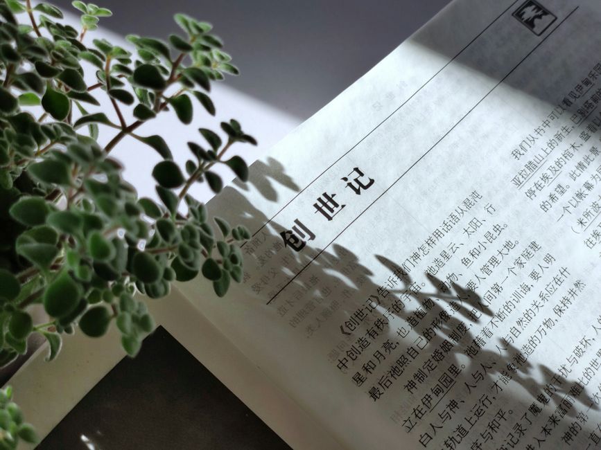 查阅费率表示意图