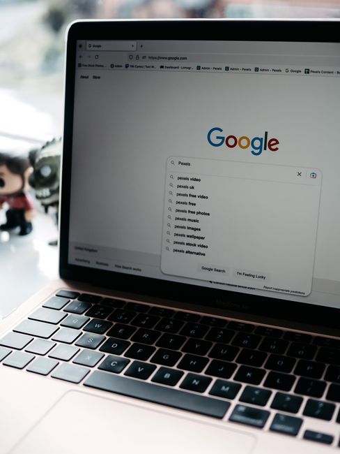 浏览器查询公网 IP 示意图