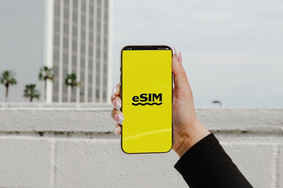 eSIM 与实体 SIM 卡对比图