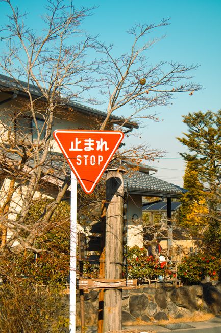 关闭自动更新设置示意图
