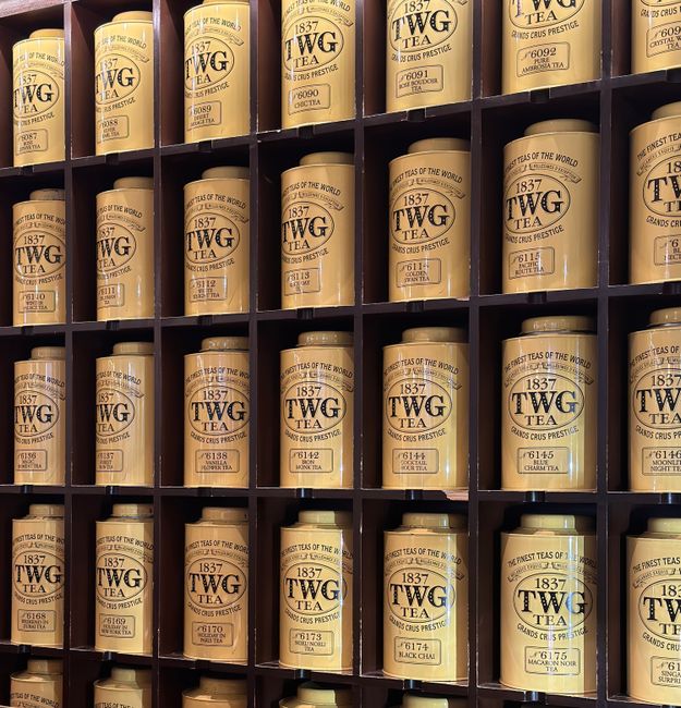 奢华的TWG茶叶礼盒展示