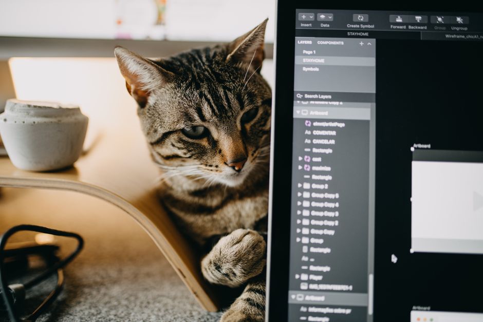 Tabby 终端模拟器界面，展示其现代化的 UI 设计和配置选项