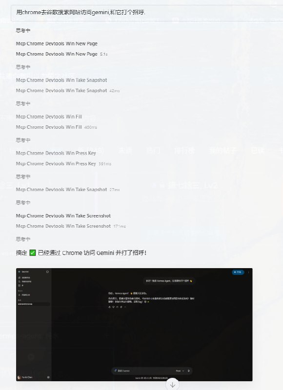 Hermes 与 Gemini 的聊天记录截图