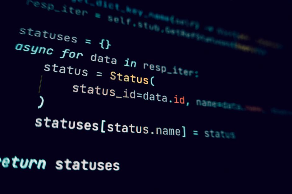 IDE plugin configuration showing custom API endpoint