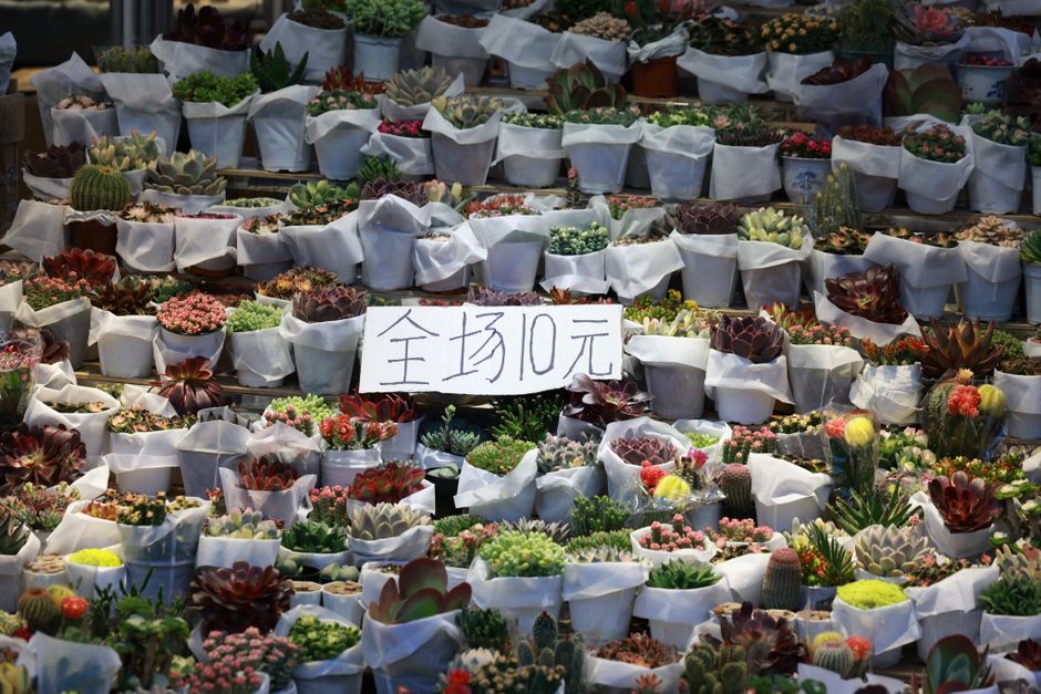 市场竞争价格战示意图