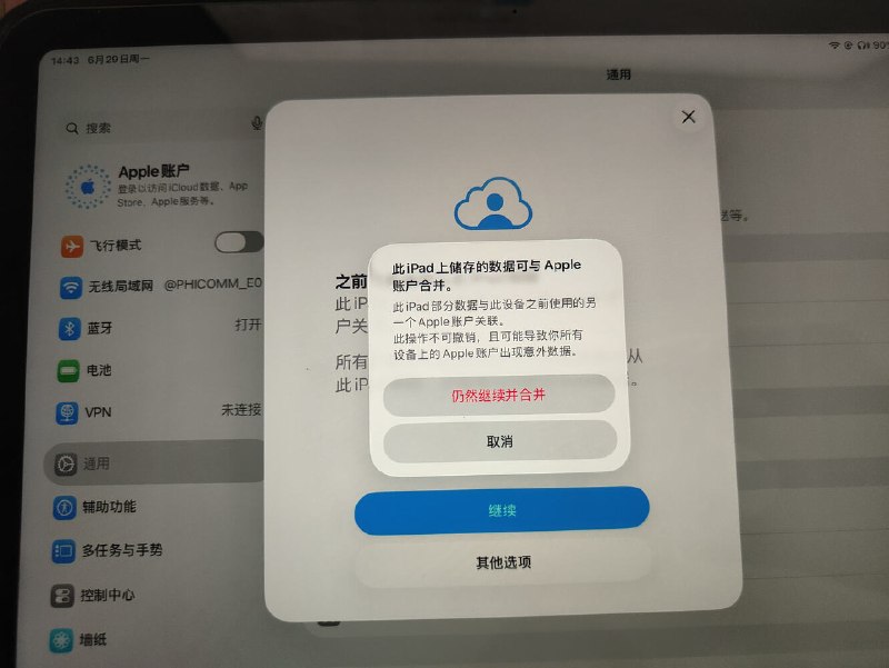 iPad 数据同步选项示意图