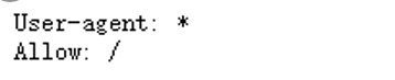 Robots.txt 配置示例