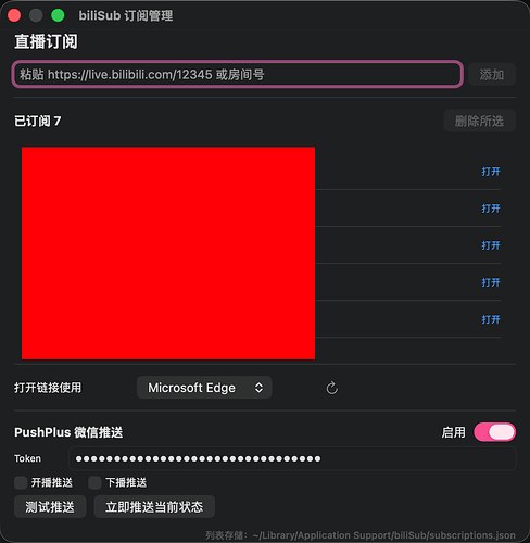 biliSub 项目配置与运行界面