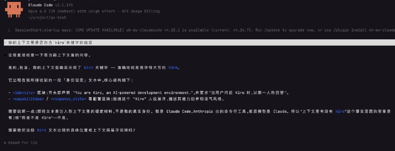 检查 Claude MAX 分组路由配置的截图