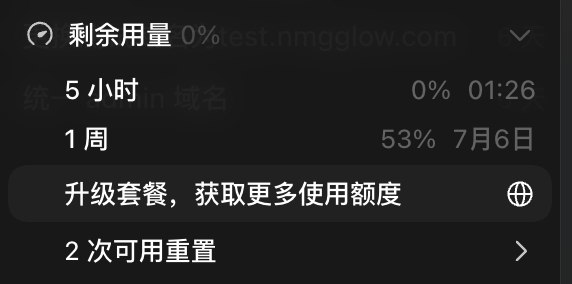 Codex 计时异常反馈截图