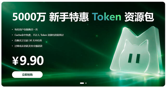 美团 LongCat-2.0 价格策略介绍