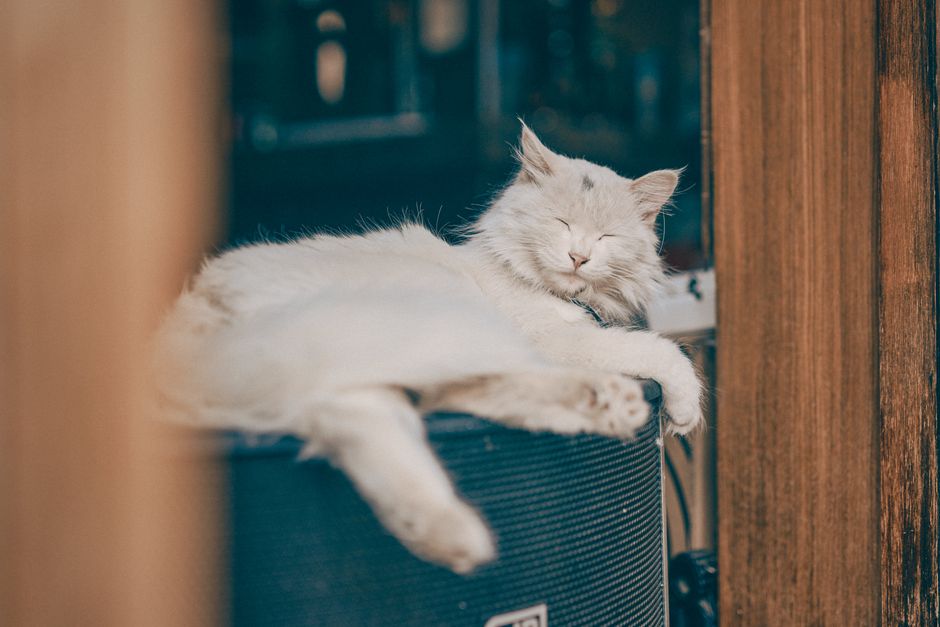 家庭光猫重启示意图